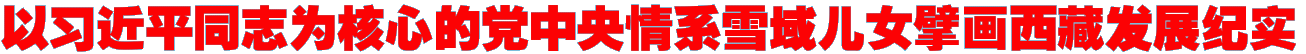 以习近平同志为核心的党中央情系雪域儿女擘画西藏发展纪实
