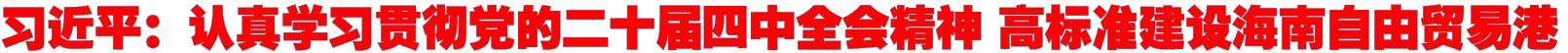 习近平：认真学习贯彻党的二十届四中全会精神 高标准建设海南自由贸易港