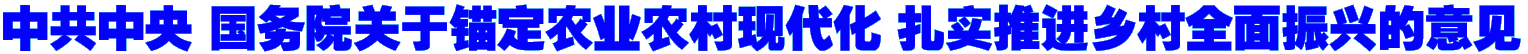 中共中央 国务院关于锚定农业农村现代化 扎实推进乡村全面振兴的意见
