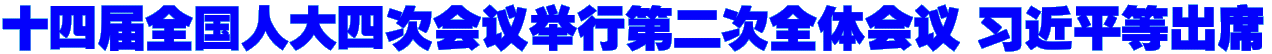 十四届全国人大四次会议举行第二次全体会议 习近平等出席