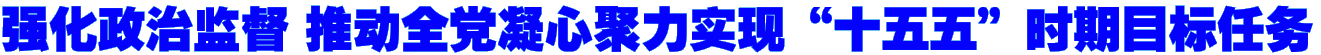 强化政治监督 推动全党凝心聚力实现“十五五”时期目标任务