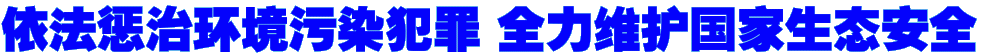 依法惩治环境污染犯罪 全力维护国家生态安全