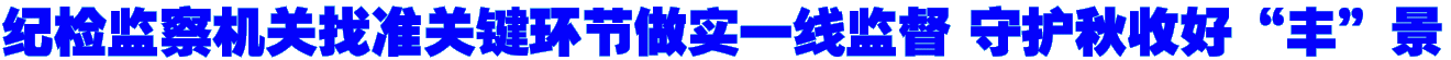 纪检监察机关找准关键环节做实一线监督 守护秋收好“丰”景