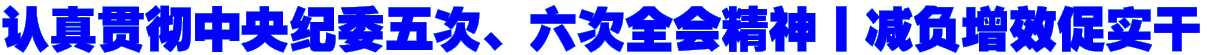 认真贯彻中央纪委五次、六次全会精神丨减负增效促实干