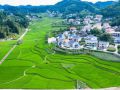 非凡十年丨贵州：开创百姓富、生态美的多彩贵州新未来