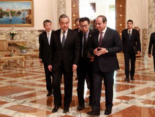 埃及总统塞西会见王毅