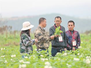 深度关注丨盘活资源促振兴