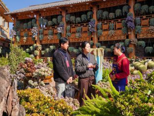 云南贯通监督力量压实主体责任 保障文旅产业持续健康发展