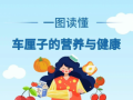 一图读懂 | 车厘子的营养与健康