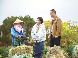 以有力监督推动党中央乡村振兴决策部署落实到位