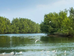 《中华人民共和国自然保护区条例》全文公布