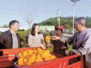 深度关注丨助力绘就大美中国画卷