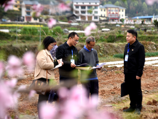 镜头丨纪巡联动提升监督质效