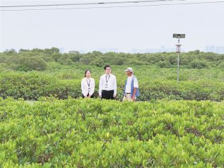 正风反腐在身边·记者百县行丨清风拂过海上森林