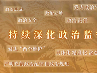 政治监督更加有力有效