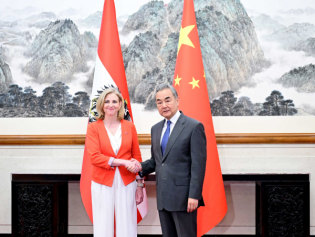 王毅同奥地利外长赖辛格会谈
