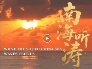 外交部发布重磅视频