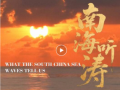 外交部发布重磅视频