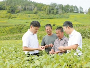 深度关注丨丰收“有底气”