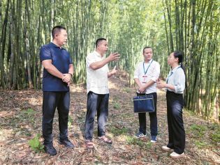 万水千山只等闲丨赤水河畔绿生金