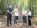 万水千山只等闲丨赤水河畔绿生金