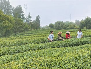 万水千山只等闲｜昔日惊涛处 今朝万象新